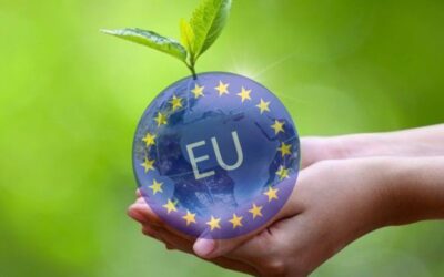 Se publica la Directiva (UE) 2024/1760, de 13 de junio de 2024, sobre diligencia debida de las empresas en materia de sostenibilidad – Círculo Legal